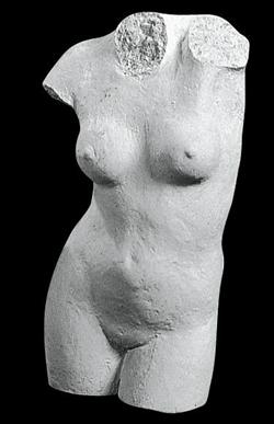 Torso kvinde